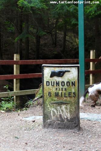 Puck's Glen, Cowal