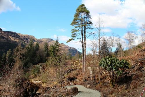 Benmore Botanic Gardens