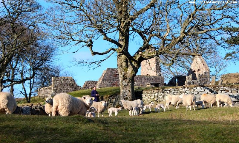 St Blane's, Bute