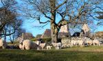 St Blane's, Bute