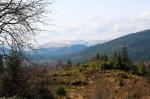 Puck's Glen, Cowal