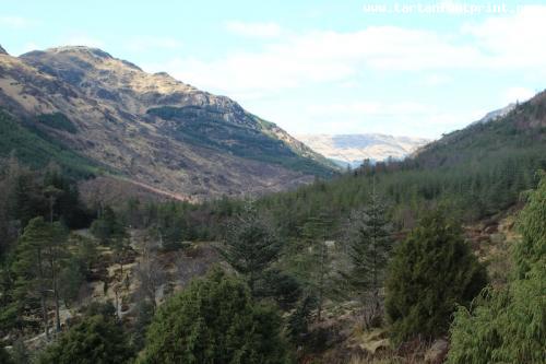 Benmore from the Botanic Gardens