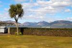 Rothsay Palm Trees