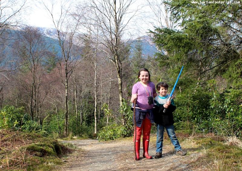 Puck's Glen, Cowal