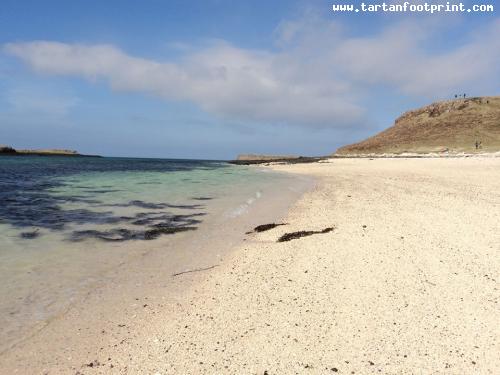 coral-beach