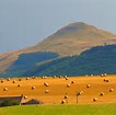 lomond hills