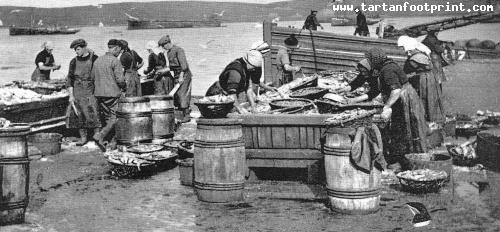Old Photograph Fishwives Gutting Herring Lerwick Shetland Scotland
