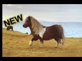 Three - The Pony - Moonwalking Shetland Pony: The Advert Sequel [PARODY]